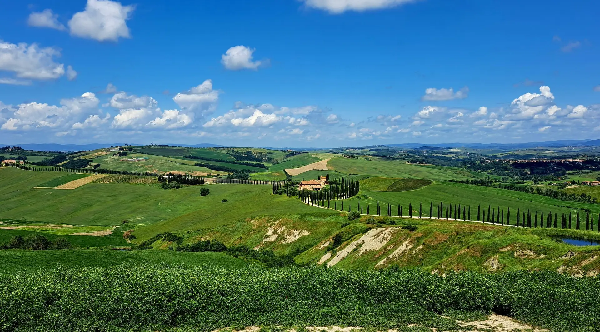 Panorama over groene Toscaanse velden met cipressenlaan naar een boerderij